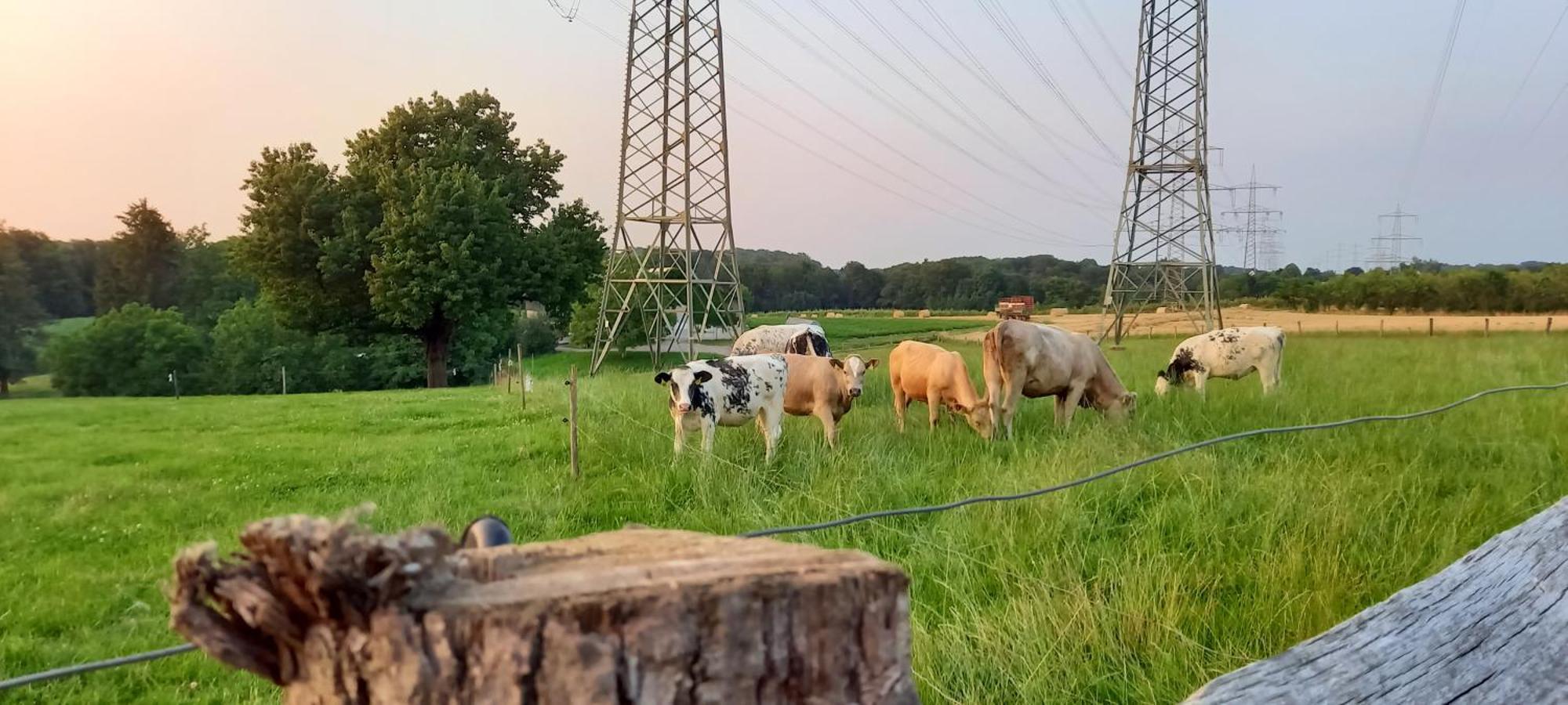 Bauernhof Sesterhenn Leichlingen Exterior foto